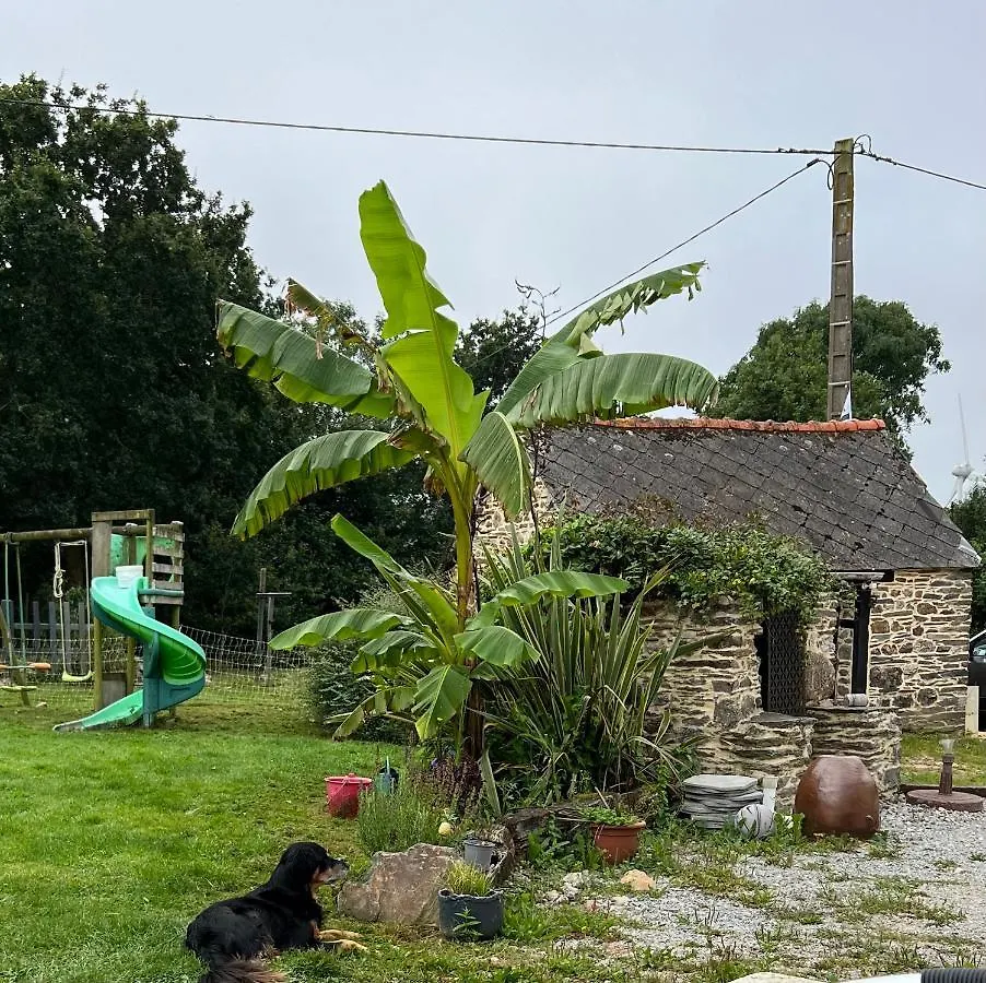 Maison D'Hotes Ty Belle Saint-Guen 0*,  France
